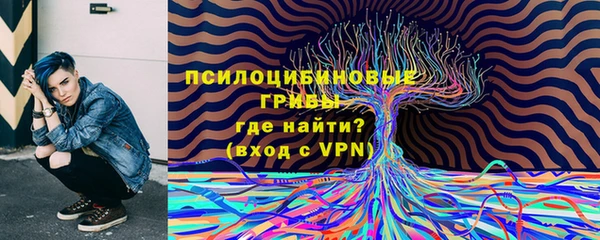 индика Алексин