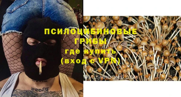 твердый Алзамай