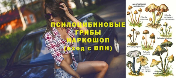 бошки Мегион