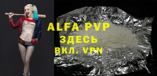 индика Алексин