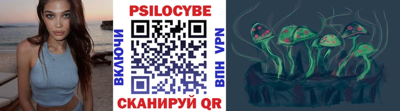 закладки blacksprut маркетплейс Псилоцибиновые грибы мицелий Обнинск