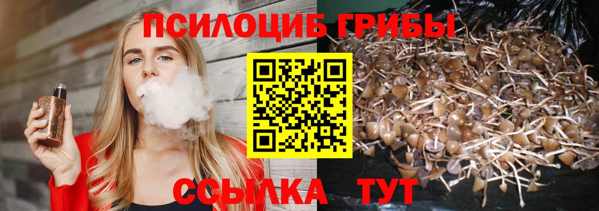 Псилоцибиновые грибы GOLDEN TEACHER Обнинск