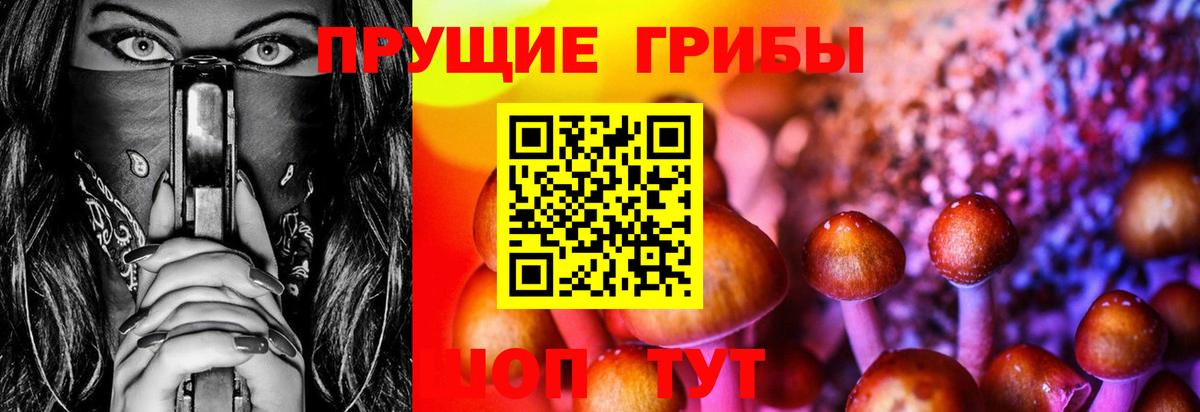 Галлюциногенные грибы GOLDEN TEACHER  Вход с VPN  Обнинск 